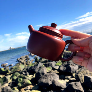 🎁 Yixing Teapot for order over $300 🎁